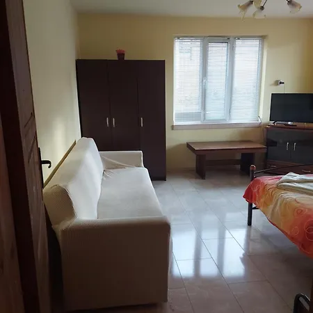 Gasthof Viktoria House Saparewa Banja