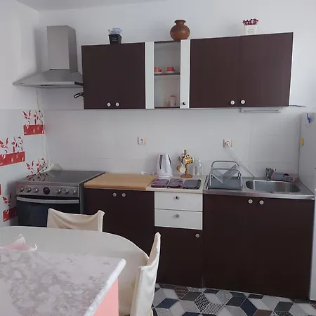 Casa de hóspedes Viktoria House *