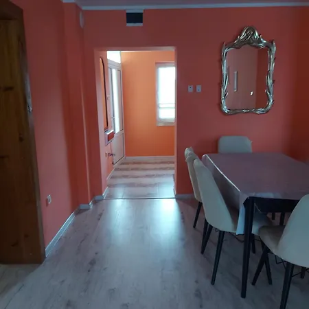 Gasthof Viktoria House Saparewa Banja