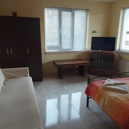 Viktoria House Gasthof 4*