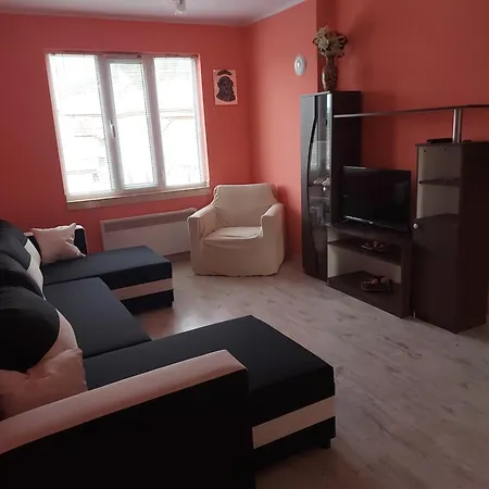 Viktoria House Gasthof Saparewa Banja