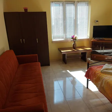 Gasthof Viktoria House Saparewa Banja