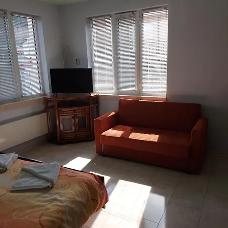 Viktoria House *