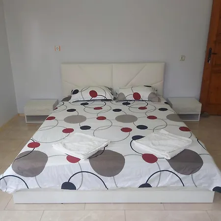 Pensión Viktoria House *