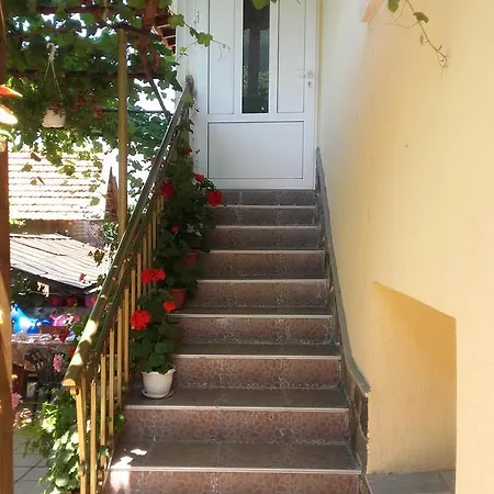 Viktoria House *
