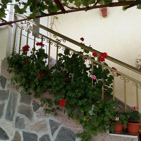 Viktoria House *